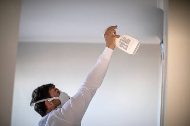 Best Mold Cleaning Services  in Millwood, WA