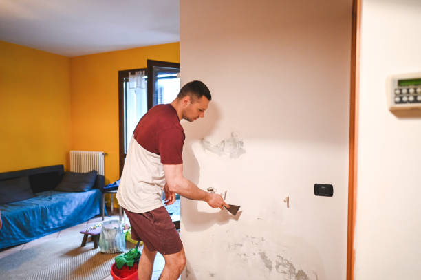 Best Water Damage Restoration  in Millwood, WA