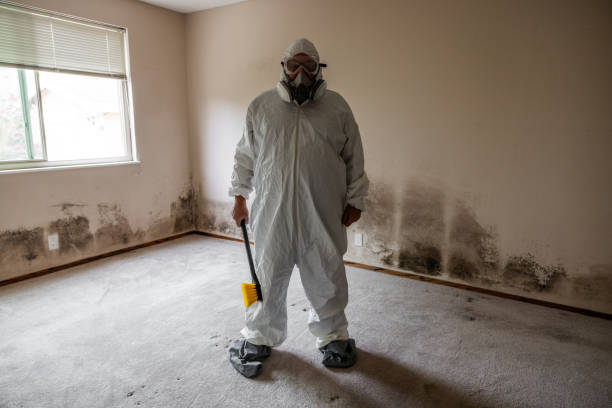 Best Certified Mold Removal  in Millwood, WA